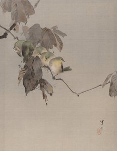 Birds on a Branch by Watanabe Seitei