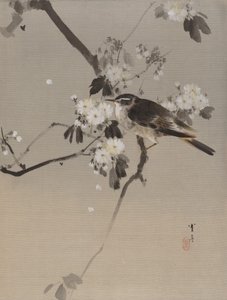 Birds on a Flowering Branch