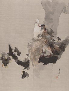 Pigeons in a Tree