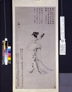 Lady with a Lute