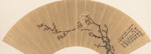 Plum Blossoms
