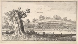 Albury with Tree-Stump in Foreground by Wenceslaus Hollar