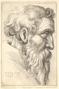 Bearded Old Man in Profile, 1645