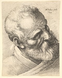 Bearded Old Man with a Tilted Head by Wenceslaus Hollar