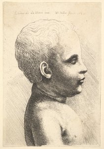 Head and shoulder of a child, in profile to right, 1645