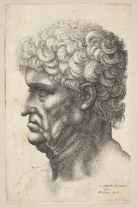 Head of a Man with Thick Curly Hair in Profile to the Left