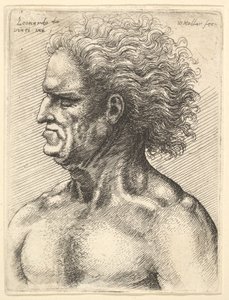 Head of a muscular old man in profile to left with flowing hair, 1625-77