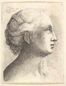 Head of a Young Woman in Profile to Right, 1645