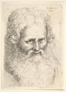 Head of an old man with a large beard