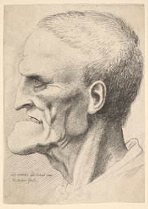Head of an old man with a pronounced chin, short cropped hair and gaping mouth showing by Wenceslaus Hollar