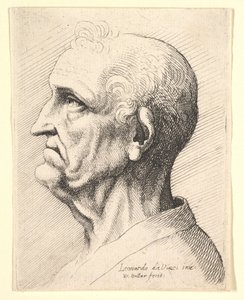 Head of an Old Man with Tufts of Curly Hair Around Ear in Profile to Left, 1644-52 by Wenceslaus Hollar