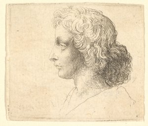 Head of Young Man with Long Hair in Profile to the Left, 1644-52