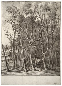 The fox and the thorn bush (State 2) by Wenceslaus Hollar