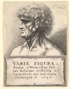 Title-page to Varie Figuræ & Probæ, 1645