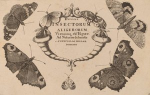 Title Page by Wenceslaus Hollar