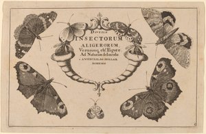 Title Page by Wenceslaus Hollar