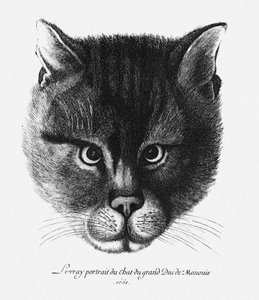 True picture of the Cat of the Tsar Alexis I Mikhailovich of Russia