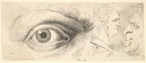 Two Eyes and Two Heads by Wenceslaus Hollar