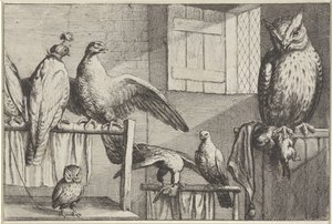 Falcons and owls in a barn (Various Birds series)