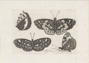 Four Butterflies