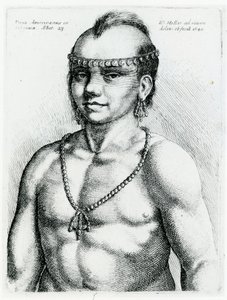 Virginian Indian