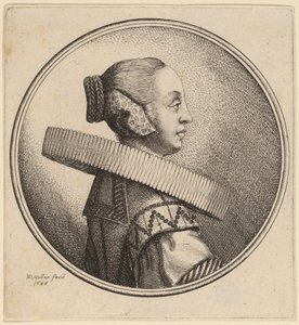 Woman with a Ruff in Profile by Wenceslaus Hollar