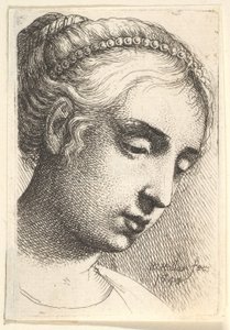Woman with string of pearls in her hair looking downwards to right by Wenceslaus Hollar
