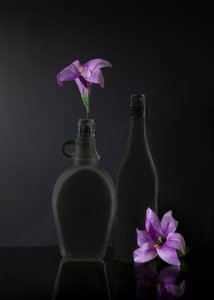 Dark Purple Still Life by Wendy Xu