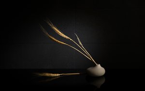 Golden Wheat Still Life by Wendy Xu