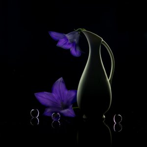 Purple Flowers Dark Elegance by Wendy Xu