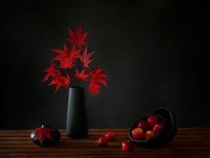 Red Maple Still Life by Wendy Xu