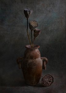 Rustic Lotus Still Life by Wendy Xu