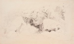 Boulders in the Forest by Werner Holmberg