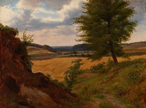 Tree in Field Landscape, Study by Werner Holmberg