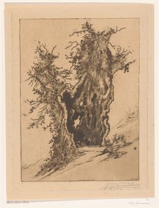 Hollow Tree near Seelisberg in Switzerland by Wijnand Otto Jan Nieuwenkamp (signed by artist)