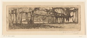Waringin Trees in a Garden in Buitenzorg by Wijnand Otto Jan Nieuwenkamp (signed by artist)