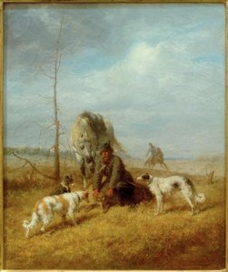 Wolf Hunt in Summer