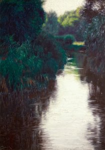 Pond