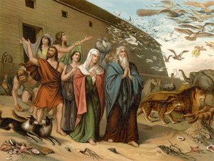 Coming Out of the Ark