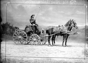 Prince Charles of Trauttmansdorff-Weinsberg Driving a Coach