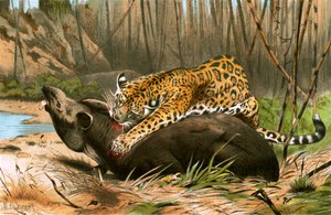 Jaguar Killing Tapir by Wilhelm Kuhnert