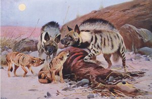 Striped Hyena and Jackal by Wilhelm Kuhnert