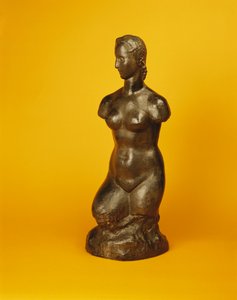 Female Torso