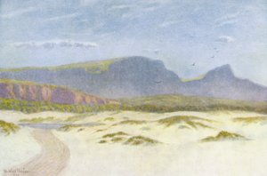 Sand Dunes