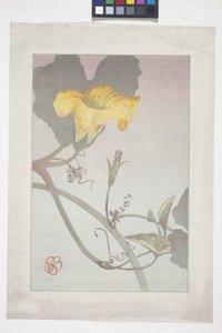 Flower Study
