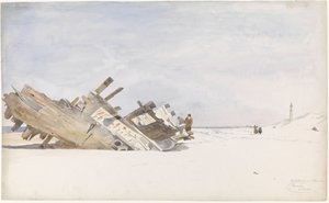 Driftwood on the Beach of Renesse in Schouwen-Duiveland