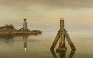 Dukdalf Dolphin, 1918-1919