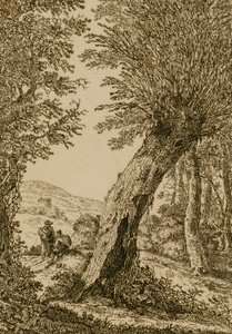 Landscape with Willow by Willem Bemmel