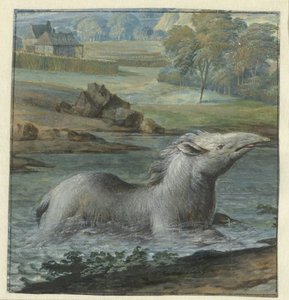 Tapir in the Water by Willem Hendrik Wilhelmus van Royen