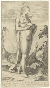 Juno with Peacock